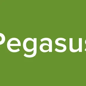 Pegasus
