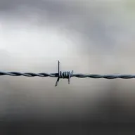 S9 Ep17: Sanctions and financial repression