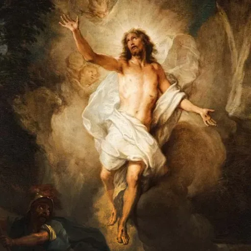 Homilia Dominical | É tempo de renovar a fé em Cristo (5º Domingo da Páscoa (A) - 03/05/2026)