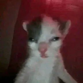Despecho