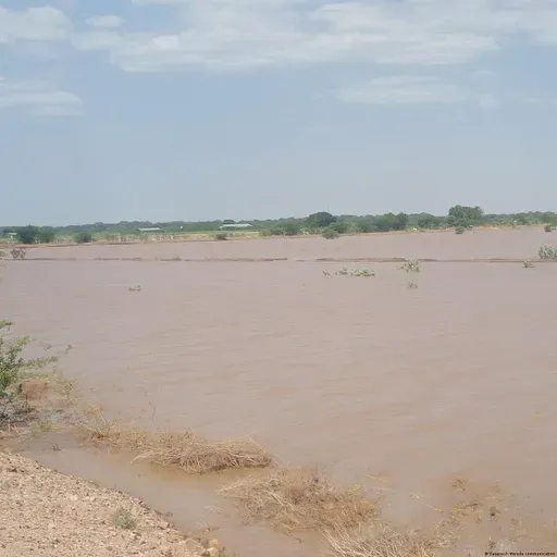 የታኅሣሥ 20 ቀን 2018 ዓም የዜና መጽሔት