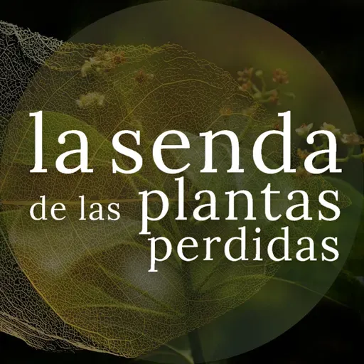 Perfumes radiantes para el Más allá: los alcanforeros {SPP 089}