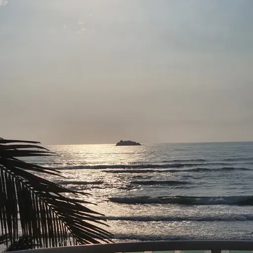 21 DE MAYO, DÍA MUNDIAL DEL TÉ. DÍA MUNDIAL DE LA DIVERSIDAD CULTURAL PARA EL DIÁLOGO Y EL DESARROLL