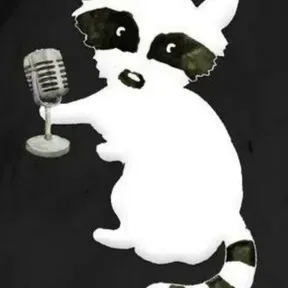 Racoon radio