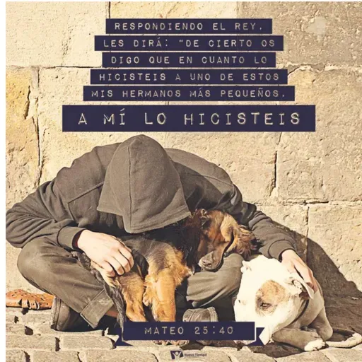 Un amor que va más allá 