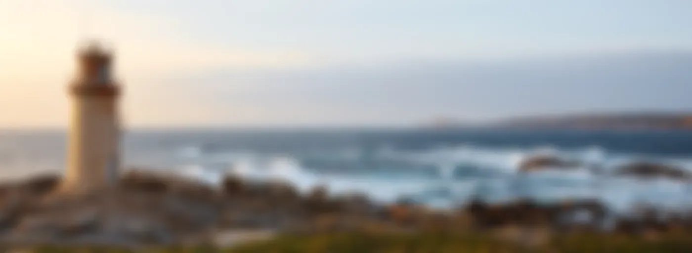 EL VIAJERO ACCIDENTAL