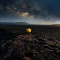 What ought we be? Hope, despair and the resilience of life with Professor David Farrier