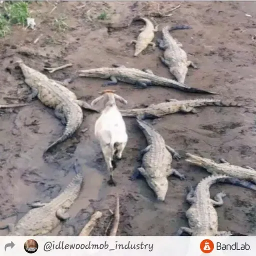 69eLiLMANdaRAPPER + #iNOeyeCAN (Prod. CEDES)