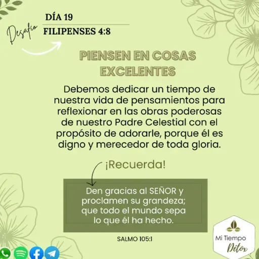Día 19 - Filipenses 4:8