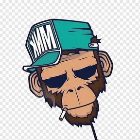 zezinsagaz