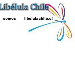 Amigos de la musica