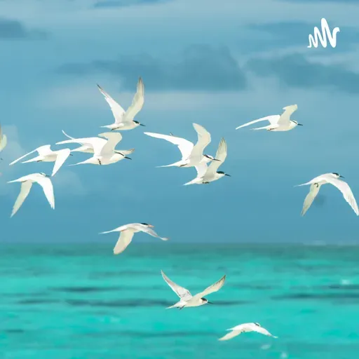 CALATORIE IN SUBCONSTIENT Episodul 1 In ce aspecte din viata ta te limitezi?