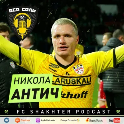 До свидания, Никола Антич!