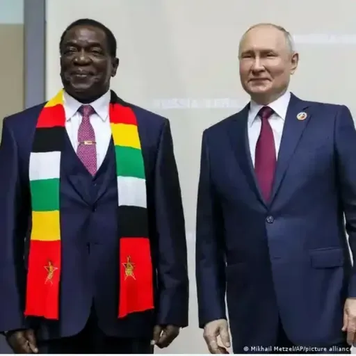 O Que está por trás dos grãos doados pela Rússia à África