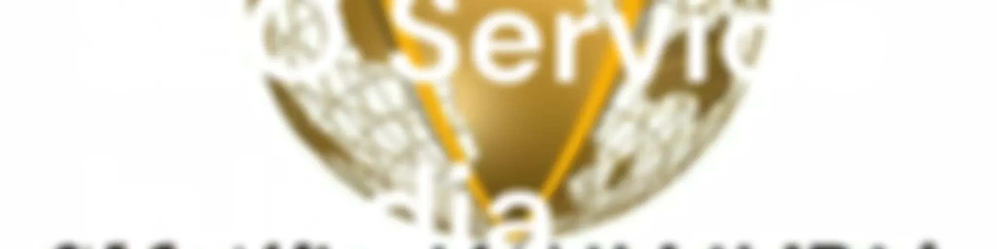 SEO Service In India