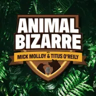 Horny Pet Camel - Animal Bizarre