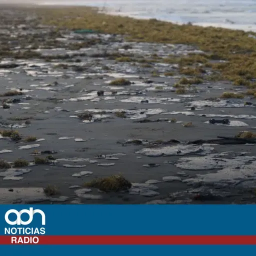 Derrame de hidrocarburo en Veracruz golpea a restauranteros