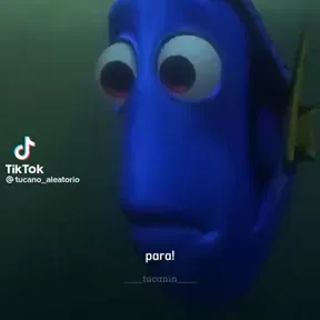 kiefnevida