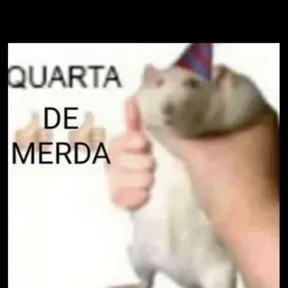 Ferreira
