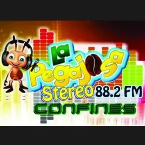 LA PEGAJOSA STÉREO 88.2 FM