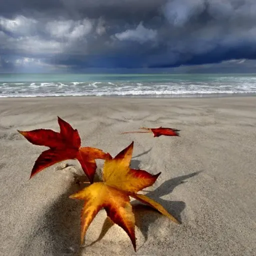 Dove andare al mare in Italia d'autunno