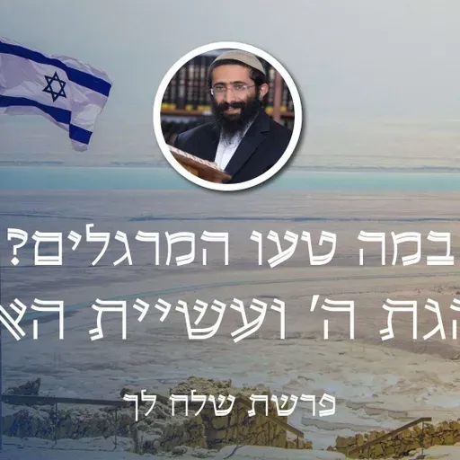 פרשת שלח לך • במה טעו המרגלים? הנהגת ה' ועשיית האדם