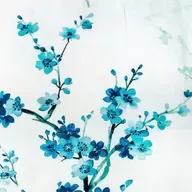 07 out "Aves do céu"