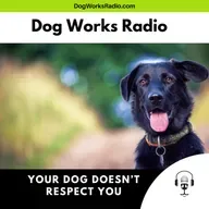 Your Dog Doesn't Respect You… Or Do They? The Truth About Dog Training and Behavior