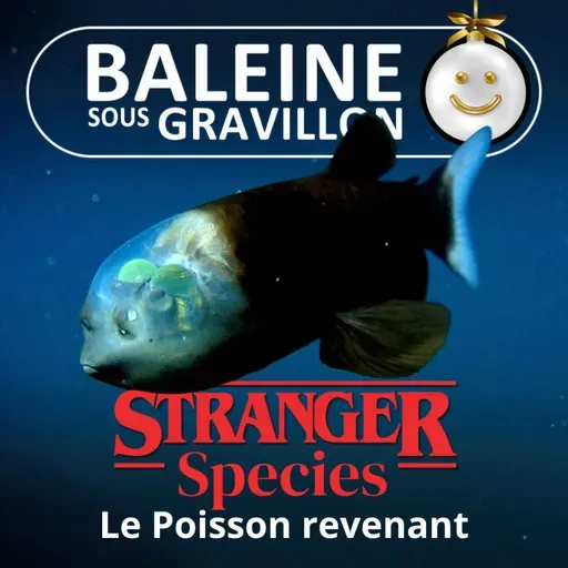 STRANGER SPECIES 2/12 : Le Poisson revenant