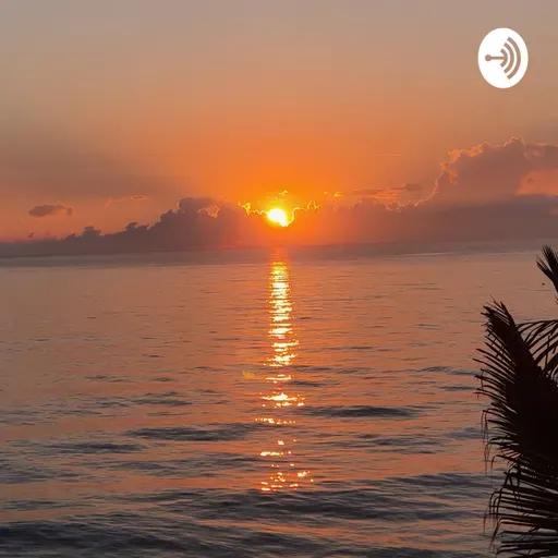 LUNES 24 DE MAYO. DÍA INTERNACIONAL DE LAS MUJERES POR LA PAZ Y EL DESARME.