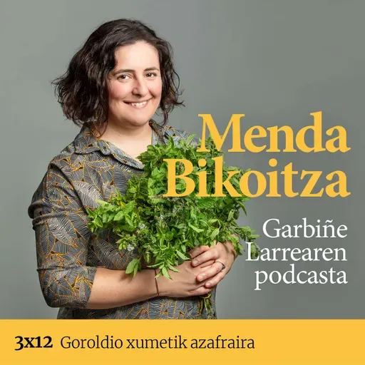 Menda Bikoitza 3x12: Goroldio xumetik azafraira