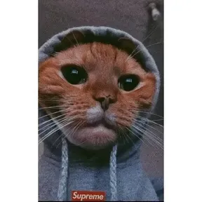 rochax