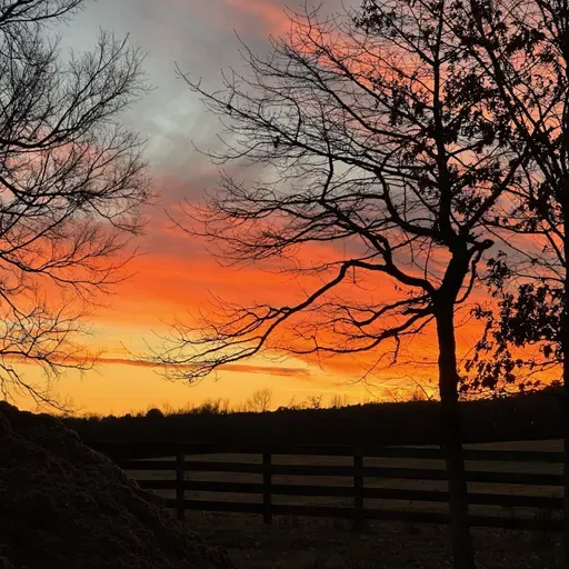 10-30-2024   Live Recorded Youth Service