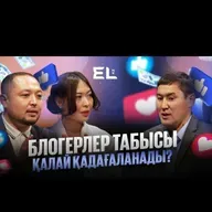 Заң және тәртіп: Блогерлер табысы қалай қадағаланады