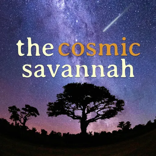 Cosmic Savannah Ep. 74: Simulating Cosmic Nurseries