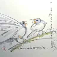 #98-December 26, 2025; I live  in a country