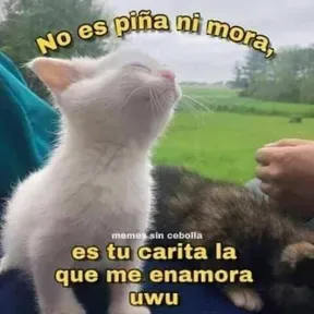 Jaime  lanza