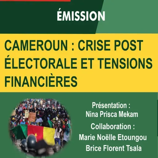 CAMEROUN: CRISE POST ÉLECTORALE ET TENSIONS FINANCIÈRES