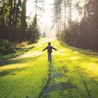 Doğayla İlgili Sözcüklerin Kullanımı Azalıyor
