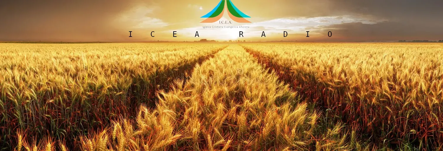 ICEA  Radio