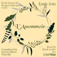 LAssommoir, Book Seven of Rougon-Macquart Cycle by Emile Zola ~ Full Audiobook [drama]