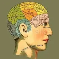 #GabineteInclasificable | Frenología, pseudociencia y niñxs indigo