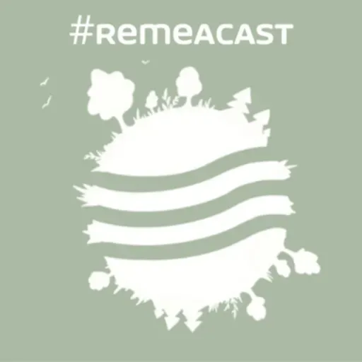 #1 Remediacja - czym jest? #RemeaCast
