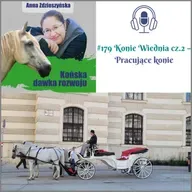 #179 Konie Wiednia cz.2 – Pracujące konie
