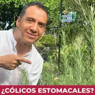¿Cólicos estomacales? Un té de Estafiate puede ayudarte