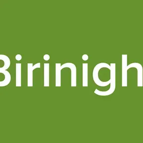 Birinight