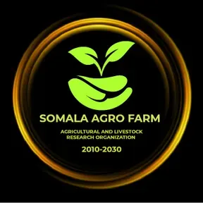 SOMALA FM