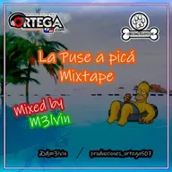 La Puse a Picá_Mixtape-Dj m3lvin