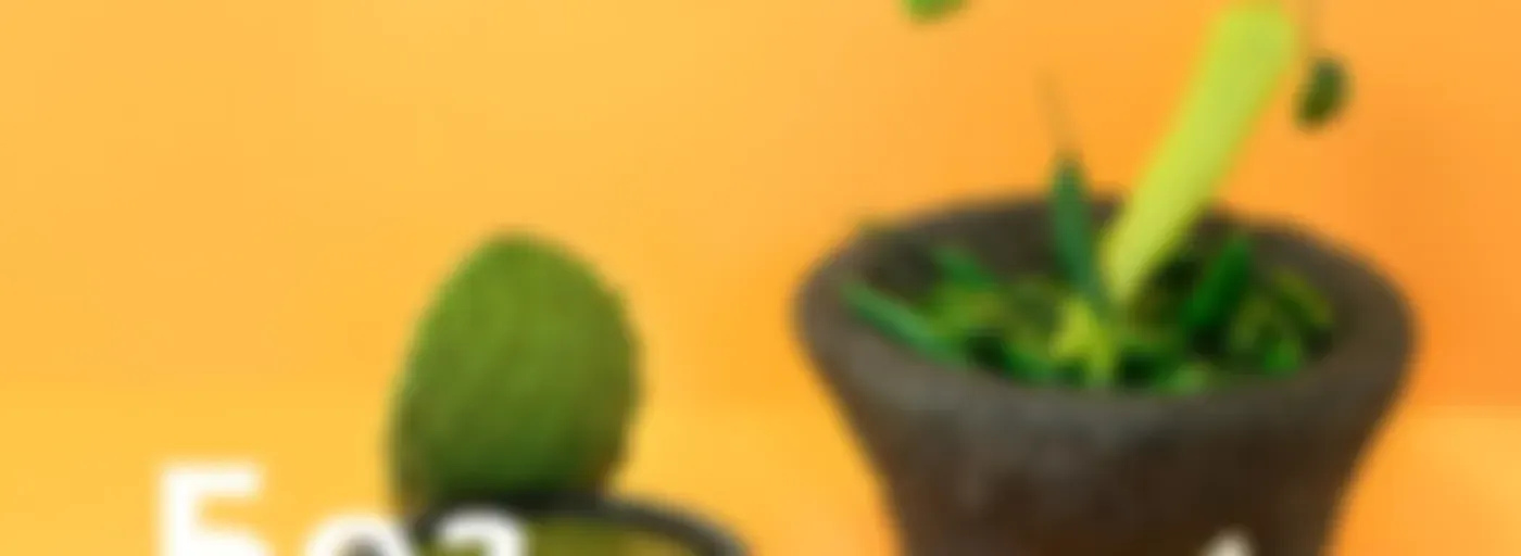 Без рецепта