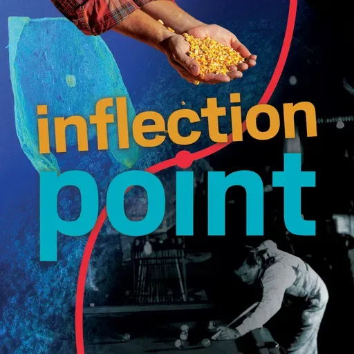 The many materials that made microplastics possible